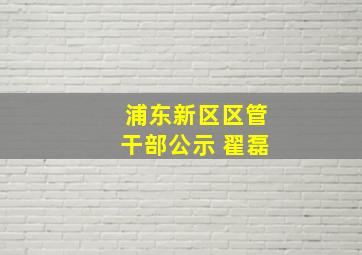 浦东新区区管干部公示 翟磊